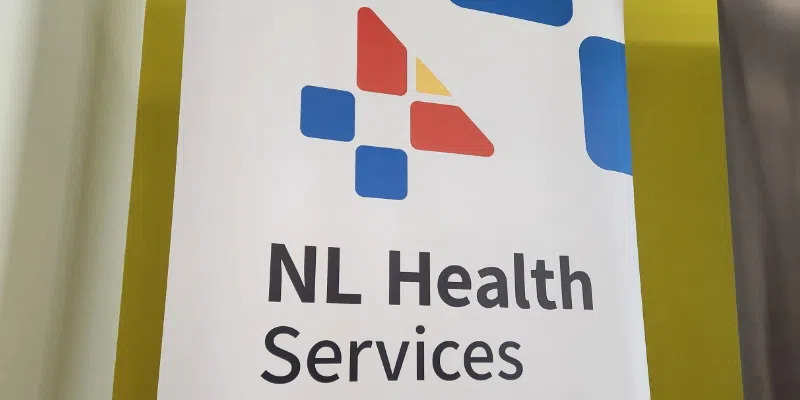 NL HEalth Services Logo